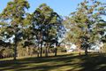 Property photo of LOT 22 Upper Avon Road Craven NSW 2422