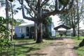 Property photo of 141 Henry Street Wynnum QLD 4178