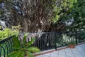 Property photo of 3 The Avenue Linley Point NSW 2066
