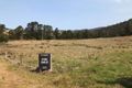 Property photo of 15 Village Street Cobargo NSW 2550
