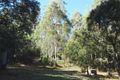 Property photo of 38311 Tasman Highway Targa TAS 7259