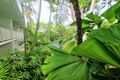 Property photo of 3/31-33 Mowbray Street Port Douglas QLD 4877