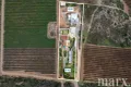 Property photo of 8985 Sturt Highway Paisley SA 5357