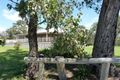 Property photo of 569 Eukey Road Storm King QLD 4380