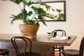 Property photo of 157-163 St Johns Road Glebe NSW 2037