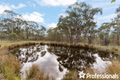 Property photo of 2905 Turondale Road Turondale NSW 2795