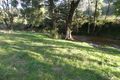 Property photo of 313 Dungowan Dam Road Ogunbil NSW 2340