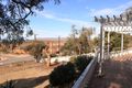 Property photo of 20 Caroona Road Port Augusta West SA 5700