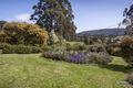 Property photo of 11 Tylers Road Strathblane TAS 7109