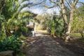 Property photo of 33 Kareela Drive Tootgarook VIC 3941