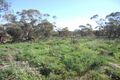 Property photo of 320 Rawnsley Road Loveday SA 5345