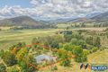 Property photo of 78 Buffalo Creek Road Myrtleford VIC 3737