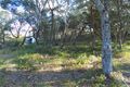 Property photo of 3 James Atkins Close Dunbogan NSW 2443