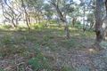 Property photo of 3 James Atkins Close Dunbogan NSW 2443