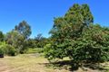 Property photo of 8 North Street Nannup WA 6275