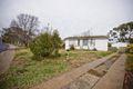 Property photo of 22 Hagelthorn Street Farrer ACT 2607