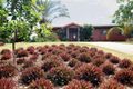 Property photo of 97 Staniland Drive Strathdickie QLD 4800