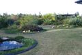 Property photo of 4 Aspect Place Narangba QLD 4504