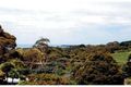 Property photo of 20 Pine Grove Shoreham VIC 3916