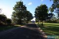 Property photo of 1 Whistler Close Buxton NSW 2571