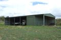 Property photo of 343 Dude Ranch Road Iveragh QLD 4680