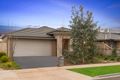 Property photo of 14 Heathwren View Werribee VIC 3030