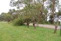 Property photo of 135 Currells Road Port Campbell VIC 3269