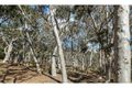 Property photo of 74 Clare Lane Bungendore NSW 2621