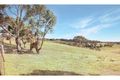 Property photo of 74 Clare Lane Bungendore NSW 2621