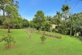 Property photo of 854 Diddillibah Road Diddillibah QLD 4559