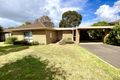 Property photo of 64 Gloucester Street Grovedale VIC 3216