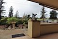 Property photo of 77 Sharp Street Whyalla SA 5600