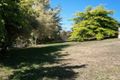 Property photo of 256 Churchill Avenue Sandy Bay TAS 7005