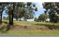 Property photo of 223 Maitland Road Mulbring NSW 2323