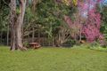 Property photo of 147 Obi Obi Road Mapleton QLD 4560