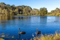 Property photo of 8 Petrus Place Sippy Downs QLD 4556