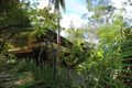 Property photo of 60 Kinabalu Drive Tamborine Mountain QLD 4272