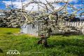 Property photo of 47 Roberts Street Collie WA 6225