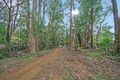 Property photo of 29 Galidan Avenue Oakdale NSW 2570