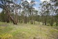 Property photo of 137 Wadeson Road Hurstbridge VIC 3099