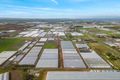 Property photo of 96 Gawler Road Virginia SA 5120