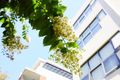Property photo of 47/4-6 Park Avenue Waitara NSW 2077