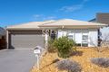 Property photo of 40 Edna Thompson Crescent Casey ACT 2913