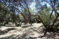 Property photo of 24 Observation Drive Rye VIC 3941