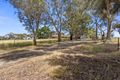 Property photo of 395 Copper Ore Road Stanley SA 5415