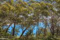 Property photo of 32 Randall Drive Salamander Bay NSW 2317