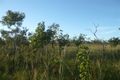 Property photo of 616 Chibnall Road Fly Creek NT 0822