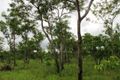 Property photo of 547 Parkin Road Fly Creek NT 0822