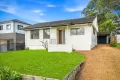 Property photo of 3 Danny Road Lalor Park NSW 2147