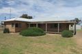Property photo of 92 Brook Street Woomelang VIC 3485